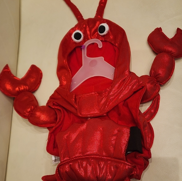 Lobster Costume Pet Size Small Dog (10-20 lbs) Halloween Vibrant Li… - Picture 7 of 8